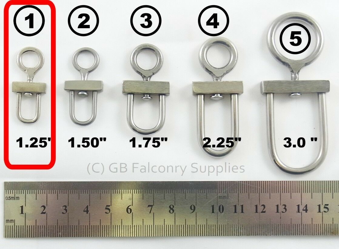 D Type Falconry Swivels all sizes (100 Stainless steel) GB Falconry
