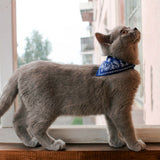 Cat Collar with Neckerchief Scarf Bandana