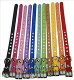 Diamante studded Dog collar for Chihuahua or Teacup Pomeranian  xxs