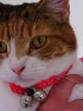 Bells for Dogs & Cats Quality Lahore (A Pair with Lobster Clasp & split ring)