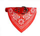 Dog Collar with Neckerchief Scarf Bandana . XXL  47-55cm