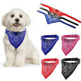 Dog Collar with Neckerchief Scarf Bandana