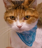 Cat Collar with Neckerchief Scarf Bandana