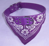 Dog Collar with Neckerchief Scarf Bandana . XXL  47-55cm